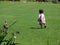 Toddler running on grass