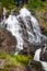 Todtnauer Waterfalls with yellow flowers, Black Forest, Germany