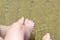 Toes in the lake, toes in the sand.