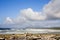 Tofino beach