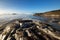 Tofino Beach