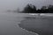 Tofino Beach in Gray