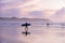 Tofino Vancouver Island Pacific rim coast, surfers with board during sunset at the beach, surfers silhouette Canada