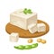 Tofu on wood board and open soybean pod. Vector color illustration