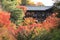 Tofukuji Temple in autumn, Japan