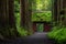 Togakushi Shrine in forest, Nagano, Japan