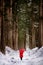 Togakushi Shrine, a girl holding a red umbrella in the pine forest of the temple. The path to Togakushi Shrine Okusha Nagano