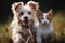 Together in close up Bengal cat and Jack Russell Terriers headshot