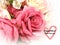 Together forever heart love wishes ,Pink white roses and petal floral spring summer background copy space