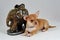 Together We Are Strong! - Chihuahua puppy ith elephant statue figurine