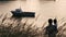 Together young man father with his little kid in hands kissing standing on sea shore among high grass near sea port with boat