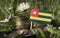 Togo flag with stack of money coins with grass