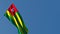 Togo`s national flag flutters in the wind