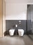 Toilet and bidet modern bathroom of scandinavian style