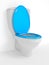 Toilet bowl, with the closed seat