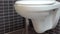 Toilet bowl, lavatory in modern bathroom with black and grey tiles, HD 1080p, close up, tilt down move