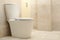 Toilet bowl in modern bathroom in light beige color