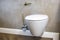 Toilet and detail of a corner shower bidet with wall mount shower attachment