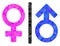 Toilet Gender Symbol Triangle Lowpoly Flat Icon