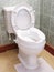 Toilet with height extension for disabled senior person indoors in house