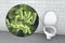 Toilet microbes, transmission of diarrheal infections