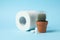 Toilet paper, cactus and candles on background, close up