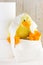Toilet paper with funny plush duck