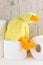 Toilet paper with funny plush duck