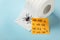Toilet paper roll with drawn spider and words Ha-Ha  on light blue background. Celebrating April Fool`s Day