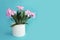 Toilet paper roll and pink flowers on a blue background