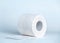 Toilet paper roll single object.
