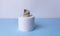 toilet paper roll. soft tissue paper. Large details of one clean roll of toilet paper lie on a gray background