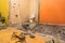 Toilet room or restroom with old toilet bowl and construction tools - perforator and angle grinder are in apartment that