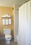 Toilet, towel rack and shower