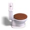 Toilet with wooden seat