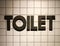 Toilet Word made from Rustic Metal in Vintage Design Style Placed like 3D on White Luxury Toilet Tiled with Light Shade from Lamp