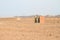 Toilets in desert in Marsa Alam