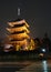 Toji Temple at Night - Kyoto, Japan