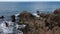 Tojinbo cliffs along the sea of Japan coast north of Fukui prefecture, Japan