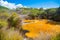 Tokaanu Thermal Pools in New Zealand