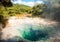 Tokaanu Thermal Pools in New Zealand