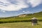 Tokaj landscape with vineyard, Unesco site, Hungary