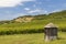 Tokaj landscape with vineyard, Unesco site, Hungary