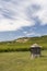 Tokaj landscape with vineyard, Unesco site, Hungary