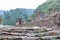 The Tokar dara archaeology site in the Swat valley is rich in archaeological and cultural heritages
