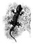 Tokay Gecko, vintage illustration