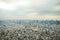 Tokyo bird eye view