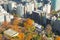 Tokyo city aerial view during autumn season