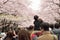 Tokyo Crowd enjoying Cherry Blossoms