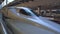 Tokyo, Japan - 09 NOV 2019: Shinkansen bullet train at Tokyo railway station in 4k